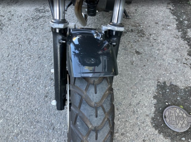 �z���_�G�C�v50�i���Q���F�a���s�j�摜17