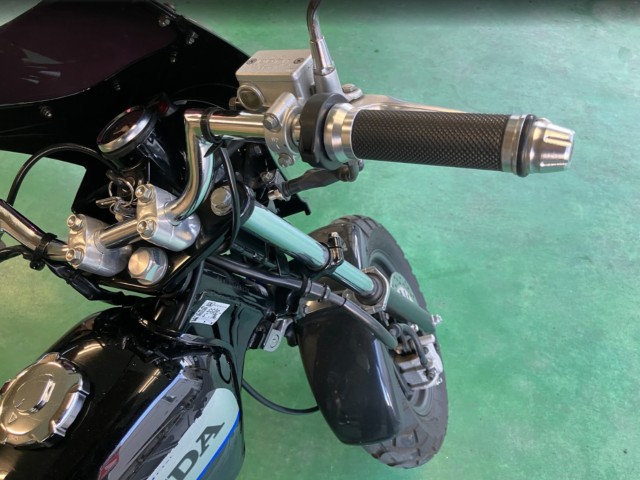 �z���_�G�C�v50�i���Q���F�a���s�j�摜12