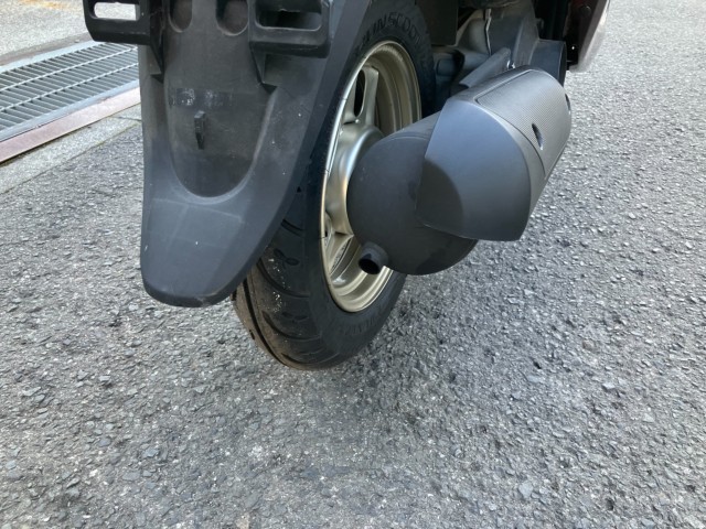 �z���_�W�����m�i���Q���F�a���s�j�摜8