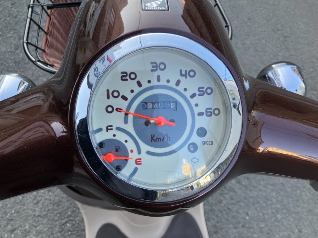 �z���_�W�����m�i���Q���F�a���s�j�摜11