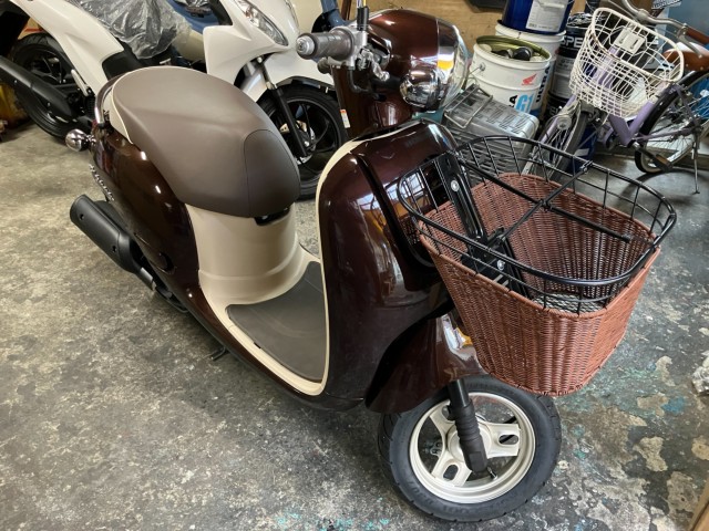 �z���_�W�����m�i���Q���F�a���s�j�摜2