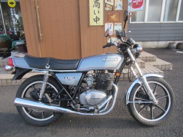 �J���T�LZ250FT�i�������o�_�s�j�摜2