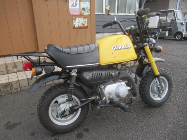 �z���_�S�����i�������o�_�s�j�摜3