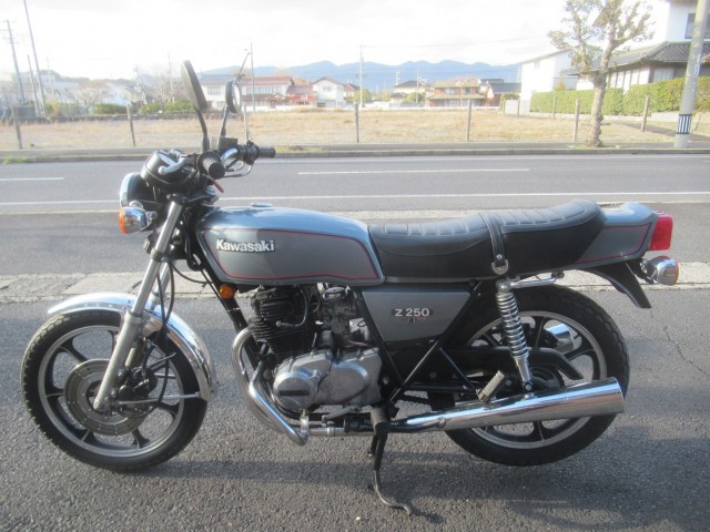 �J���T�LZ250FT�i�������o�_�s�j�摜4