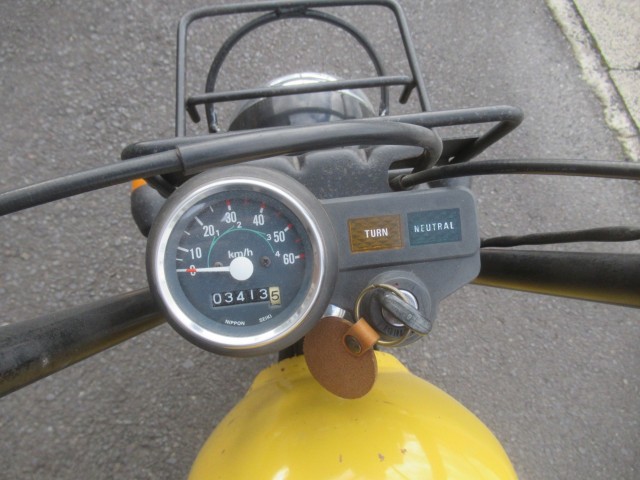 �z���_�S�����i�������o�_�s�j�摜6