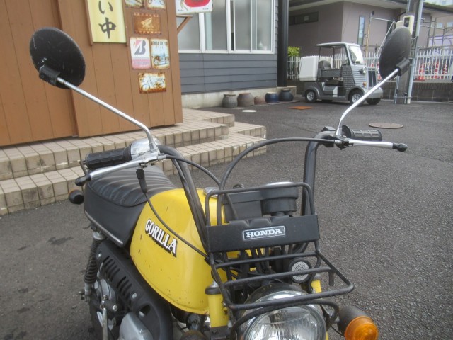 �z���_�S�����i�������o�_�s�j�摜9