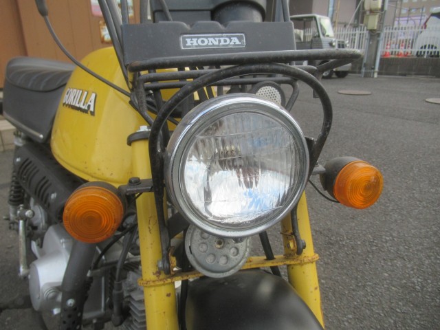 �z���_�S�����i�������o�_�s�j�摜10