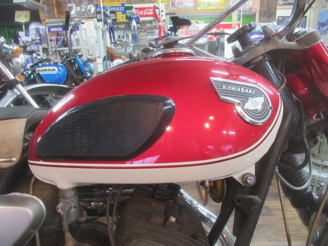 �J���T�LA1SS�i�������o�_�s�j�摜11