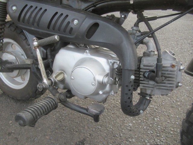 �z���_�S�����i�������o�_�s�j�摜14