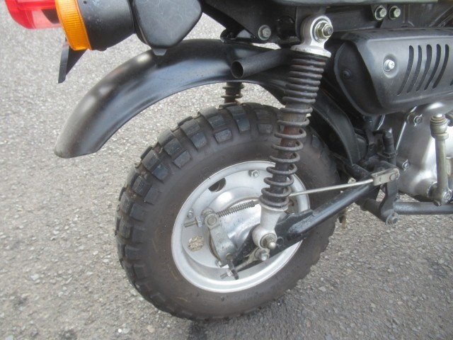 �z���_�S�����i�������o�_�s�j�摜15