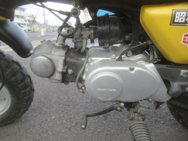 �z���_�S�����i�������o�_�s�j�摜16