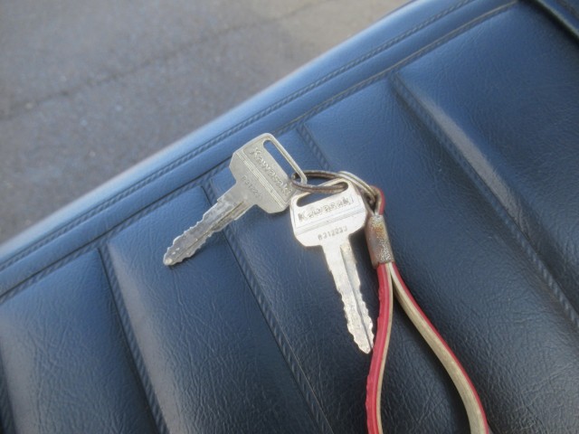 �J���T�LZ250FT�i�������o�_�s�j�摜17