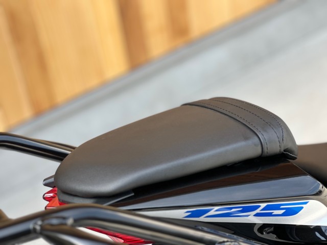 XYLGSX-S125 ABSiQsj摜20