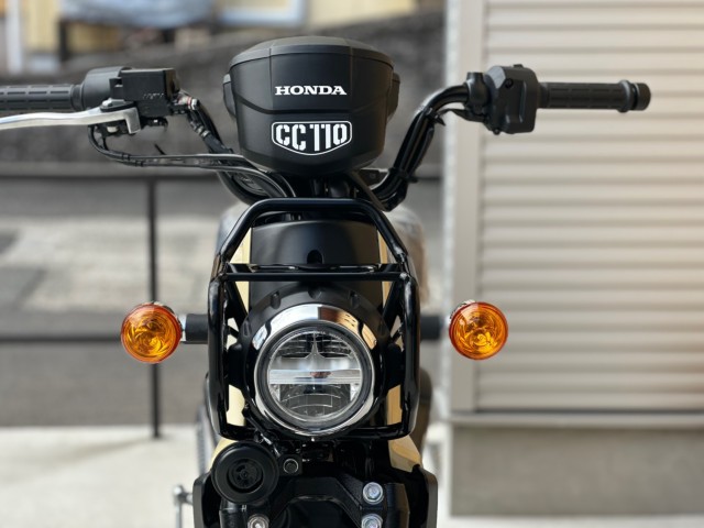 �z���_�N���X�J�u110�i���Q�������s�j�摜5