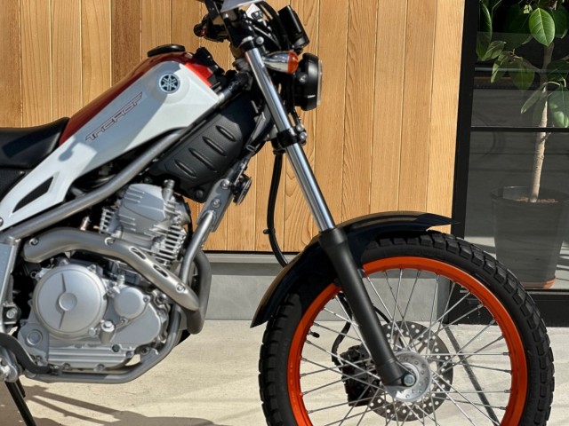 ���}�n�g���b�J�[�i���Q�������s�j�摜2