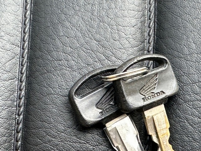 �z���_�����L�[�i���Q�������s�j�摜32