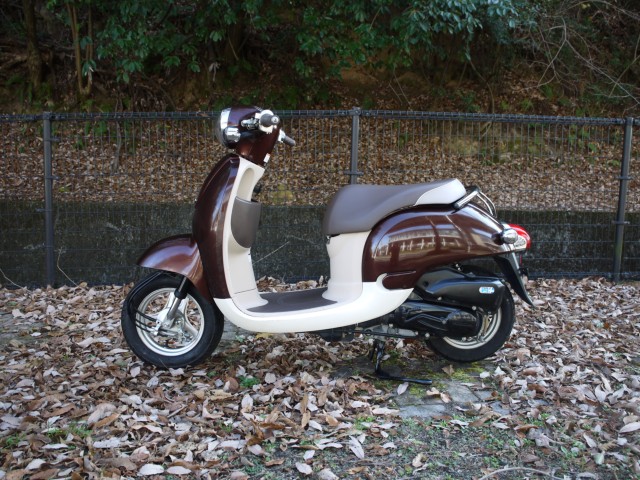 �z���_�W�����m�i�L�����L���s�������j�摜2