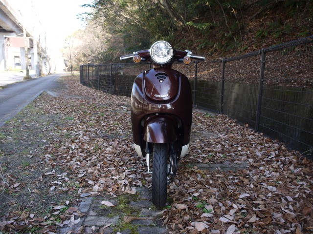 �z���_�W�����m�i�L�����L���s�������j�摜3