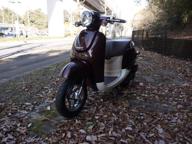 �z���_�W�����m�i�L�����L���s�������j�摜5