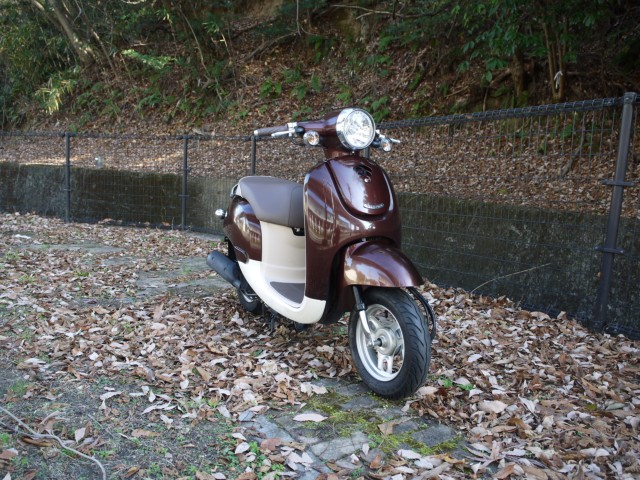 �z���_�W�����m�i�L�����L���s�������j�摜6