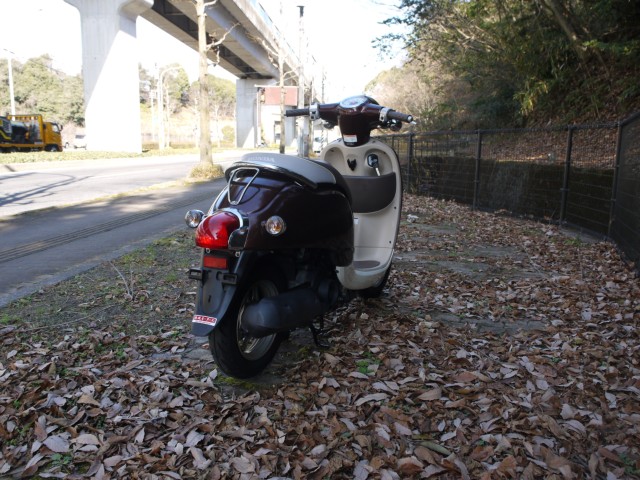 �z���_�W�����m�i�L�����L���s�������j�摜8