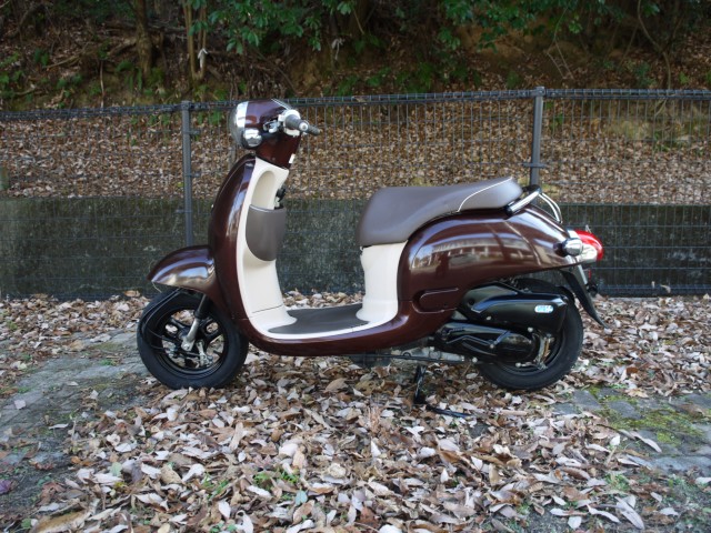 �z���_�W�����m�i�L�����L���s�������j�摜2