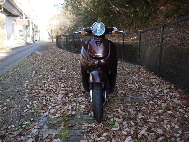 �z���_�W�����m�i�L�����L���s�������j�摜3