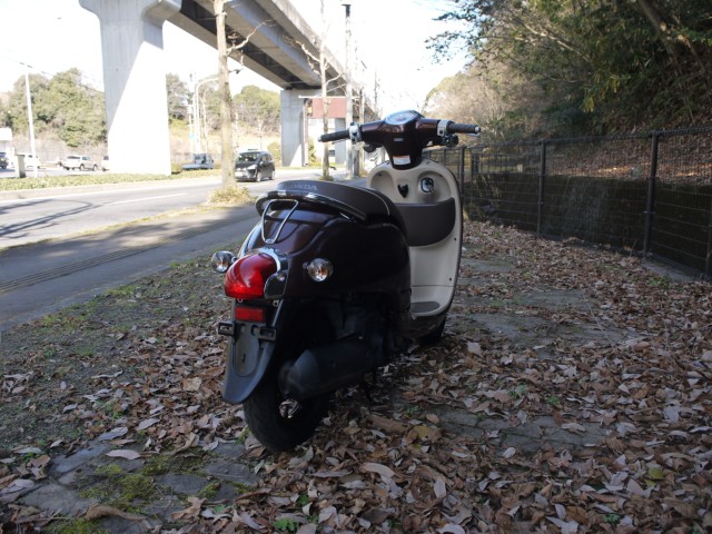 �z���_�W�����m�i�L�����L���s�������j�摜8