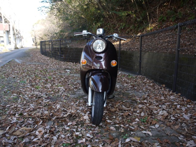 ���}�n�r�[�m�i�L�����L���s�������j�摜3