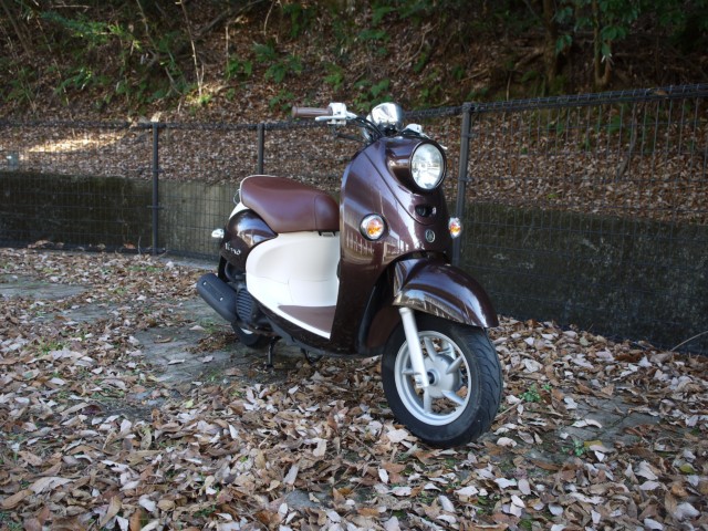 ���}�n�r�[�m�i�L�����L���s�������j�摜6