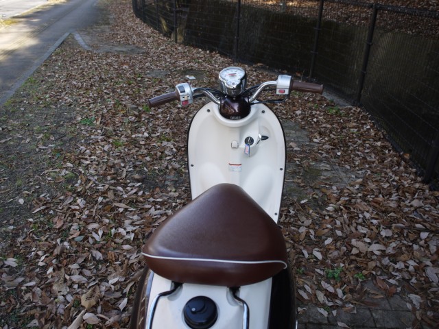 ���}�n�r�[�m�i�L�����L���s�������j�摜9