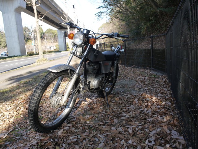 �z���_TL125�o�C�A���X�i�L�����L���s�������j�摜3