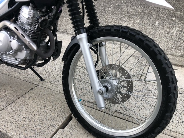 ���}�n�Z���[250�i�L�����L���s���j�摜6