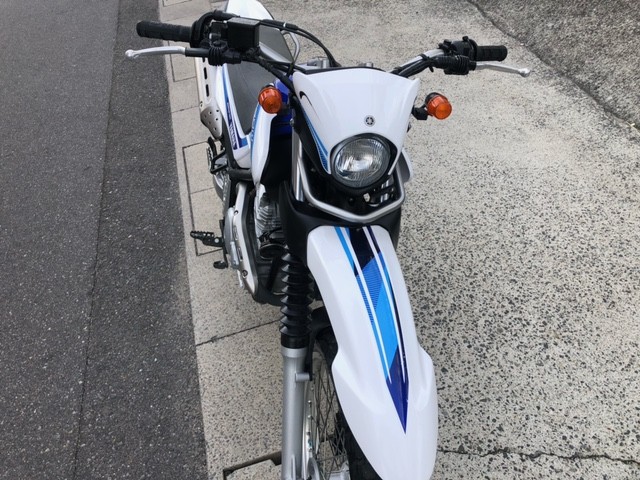 ���}�n�Z���[250�i�L�����L���s���j�摜9