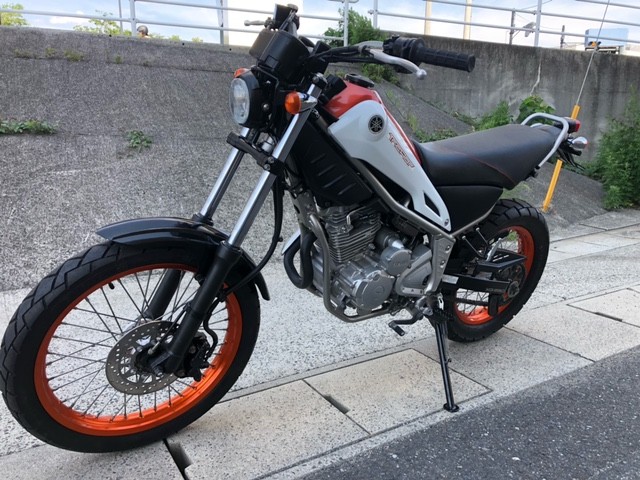 }ngbJ[iLLsj摜11