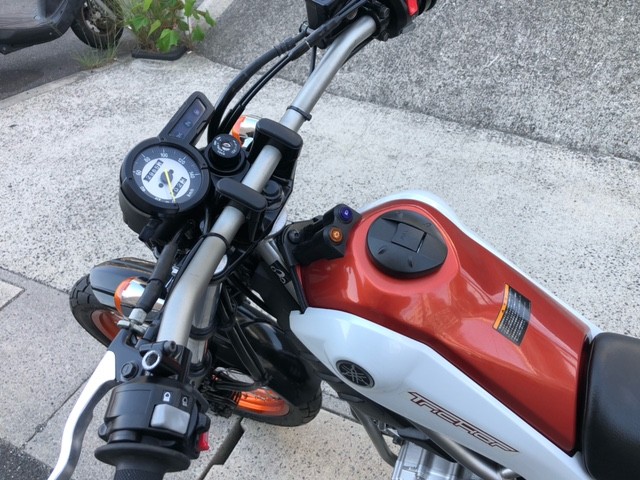 }ngbJ[iLLsj摜13