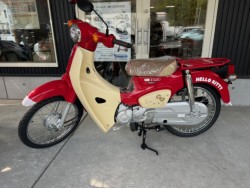 �z���_�X�[�p�[�J�u50�i���Q�������l�s�j�摜1