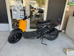 �z���_�Y�[�}�[�i���Q�������l�s�j�摜1