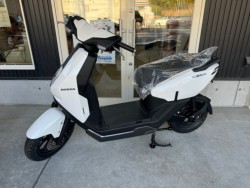 �z���_ICON e:�i���Q�������l�s�j�摜1