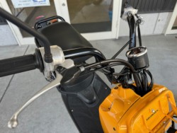 �z���_�Y�[�}�[�i���Q�������l�s�j�摜15