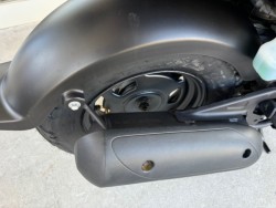 �z���_�Y�[�}�[�i���Q�������l�s�j�摜21