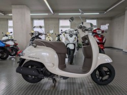 �z���_�W�����m�i���Q�����R�s�j�摜1