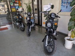 �z���_�Y�[�}�[�i���Q�����R�s�j�摜18