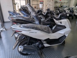 �z���_�f�B�I110�i���Q�����R�s�j�摜20