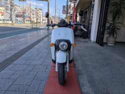 �z���_�x�����C50�i���Q�����R�s�j�摜2