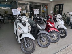 �z���_�f�B�I110�i���Q�����R�s�j�摜10