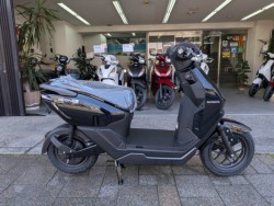 �z���_ICON e:�i���Q�����R�s�j�摜1