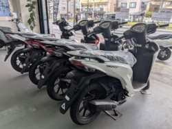 �z���_�f�B�I110�i���Q�����R�s�j�摜11