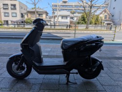 �z���_ICON e:�i���Q�����R�s�j�摜3