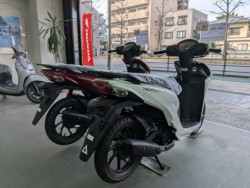 �z���_�f�B�I110�i���Q�����R�s�j�摜4